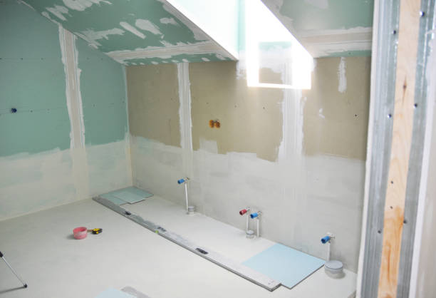 Best Black Mold Removal  in Casey, IL