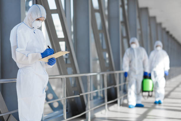 Mold Documentation for Insurance Claims in Casey, IL