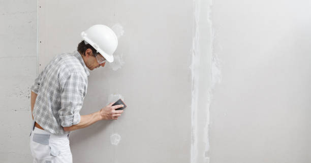 Best Air Quality Testing for Mold Spores  in Casey, IL