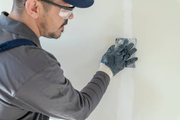 Best Mold Remediation for Healthcare Facilities  in Casey, IL