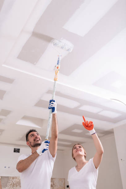 Best Residential Mold Inspection & Testing  in Casey, IL
