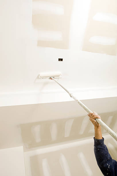 Best Biohazard Mold Removal  in Casey, IL