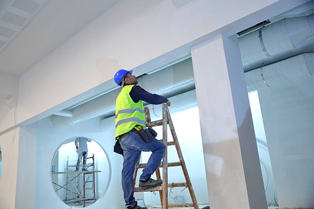 Best Forensic Mold Investigation  in Casey, IL
